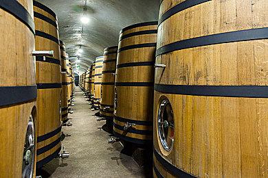 《匹诺曹的谎言》试玩版下载突破100万！好评如潮